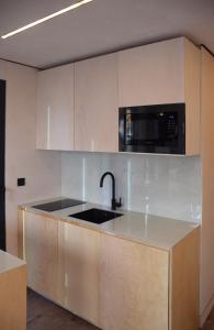 鹿特丹tiny house的厨房配有水槽和微波炉