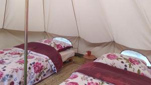 Domek na wsi的帐篷内带两张床的房间