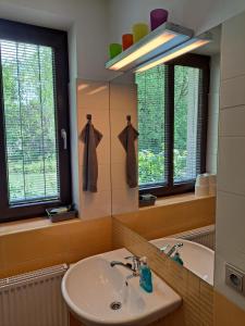 Olešnice纳波利宾馆的一间带水槽和镜子的浴室
