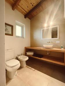 圣卡洛斯-德巴里洛切Casa de Campo La Chacra的一间带卫生间和水槽的浴室