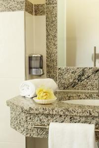 萨尔茨堡达斯格伦博斯特酒店赛科尼公寓式酒店的浴室设有毛巾和水槽。