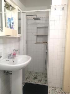 利帕里Al Limone的白色的浴室设有水槽和淋浴。