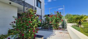 皮内兹齐Luxury villas White Sails的两株花红色的植物,在一座建筑前