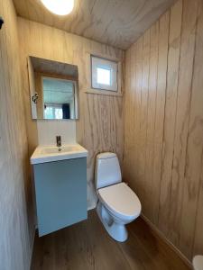 洛肯洛肯家庭露营地的一间带卫生间和水槽的小浴室