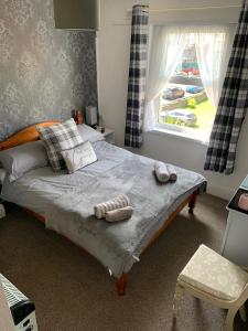 佩恩顿Bella Vista的卧室配有带枕头的床铺和窗户。
