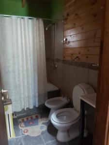 圣卡洛斯-德巴里洛切La Peninsula Cabaña的一间带卫生间和淋浴帘的浴室