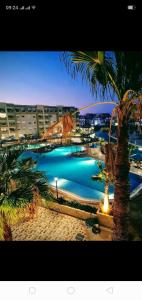 莫纳斯提尔Palm lake resort Folla Monastir的一座建筑前的游泳池,里面种着棕榈树