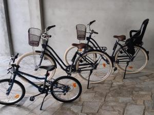 比索达雷加Joana & Marco - Guest House - 4 Caminhos的一辆自行车停在彼此旁边