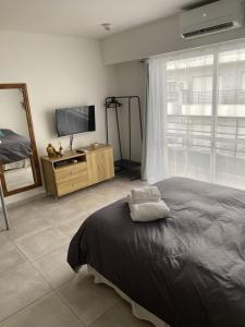 罗萨里奥Hermoso Monoambiente en Rosario的一间卧室配有一张床、一台电视和一面镜子