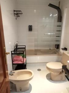 巴利亚多利德Confortable y luminoso apartamento的带淋浴、卫生间和盥洗盆的浴室