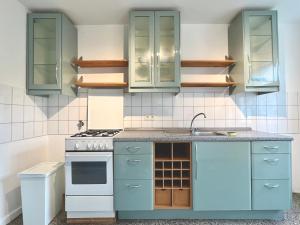 汉诺威3 Betten Unterkunft Vahrenwald-List的厨房配有蓝色橱柜和水槽