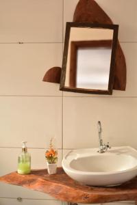 诺布里斯Pousada Nossa Senhora da Guia的浴室设有白色水槽和镜子