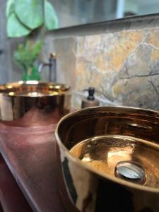 Rivière-PiloteVT cottage的浴室里两个铜制水槽的壁橱