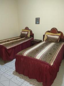 阿瓜斯卡连特斯Ola的客房内设有两张床。
