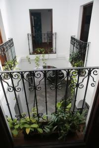 塔里法Wake up in Tarifa Hostel & Restaurant Lounge的建筑里种植了盆栽植物的阳台