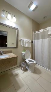 哈姆登惠特尼宾馆及套房的浴室配有卫生间、盥洗盆和淋浴。