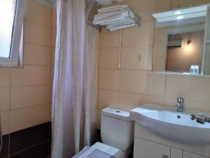 科斯镇布里斯托公寓式酒店的一间带卫生间、水槽和镜子的浴室