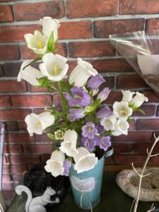 日光Morinouta的蓝色的花瓶,布满白色和紫色的花