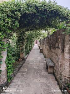 特里卡塞Corte Piri的一条带长椅的石头小径和藤蔓拱门