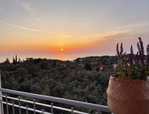 苏卡雷斯埃勒尼亚别墅酒店的从种植了植物的阳台上可欣赏到日落美景