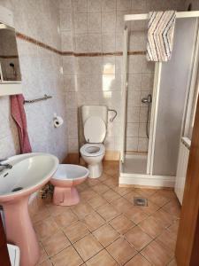 博维茨Apartment Ski的浴室配有卫生间、盥洗盆和淋浴。
