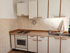 博维茨Apartment Ski的厨房配有白色橱柜、炉灶和水槽。