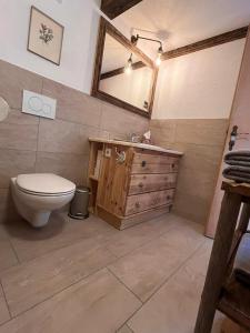 施坦斯Rossweid Huette的一间带卫生间、水槽和镜子的浴室