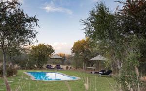 纳穆托尼Onguma Tamboti Campsite的庭院内一个带椅子和遮阳伞的游泳池