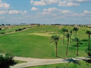 赫尔格达马卡迪萨拉亚杰斯度假村的享有棕榈树高尔夫球场的空中景致
