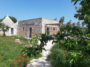 孔韦尔萨诺Il Fiore della Vita Trulli Country house的石头建筑,树上放着一大堆水果