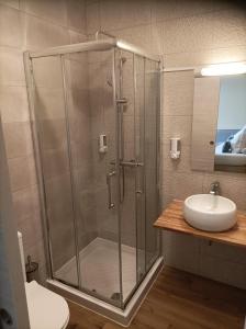 卡夫尔高原艾茵酒店的带淋浴和盥洗盆的浴室