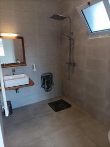 卡夫尔高原艾茵酒店的带淋浴、盥洗盆和镜子的浴室