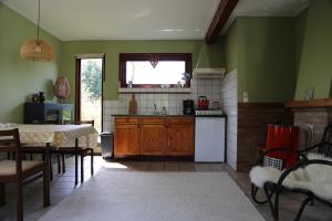 't HorntjeHuisje Vogelsand的带绿色墙壁和桌子的厨房以及带水槽的厨房。