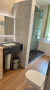 埃讷安hotel whiteswan的一间带水槽和卫生间的浴室