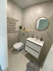 克莱佩达Baltic Avenue的一间带卫生间、水槽和镜子的浴室