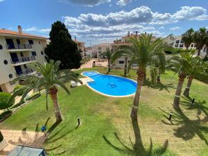 阿尔考斯布里Apartamentos Porta Mediterranea Altamar的棕榈树公园游泳池的顶部景色