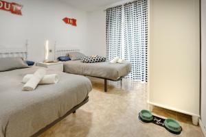 哈卡Casa Campanilla Jaca的一间卧室设有两张床和窗户。