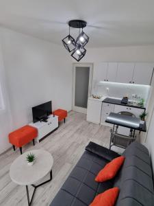 克鲁舍瓦茨CENTRAL的带沙发的客厅和厨房