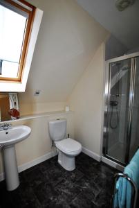 KilrennyOrchard Cottage-spacious cottage in rural setting的浴室配有卫生间、盥洗盆和淋浴。
