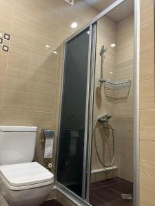 第比利斯Apartment in historical district of Tbilisi的一间带卫生间和淋浴的浴室。