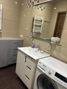 第比利斯Apartment in historical district of Tbilisi的一间带洗衣机和水槽的浴室