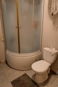 ĶegumsStudio type apartment in Ķegums的带淋浴和白色卫生间的浴室