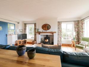 CarrigartLough View Cottage的客厅设有蓝色的沙发和壁炉