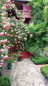 维耶尔宗SUPREMATISME Appartement de Prestige的一座花园,花园里长着粉红色的玫瑰,在一座建筑里长着