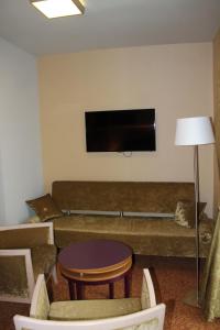 塞克希费黑瓦尔森特盖勒特酒店的带沙发和平面电视的客厅