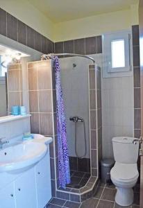 帕利乌里翁Villa Beauty的带淋浴、卫生间和盥洗盆的浴室