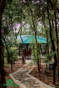 巴朗戈德Nature Springs Belihul oya的一条穿过森林的小路,一座绿色屋顶的建筑