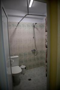 桑丹斯基巴尔沃罗浮酒店的一间带卫生间和淋浴的浴室