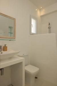 奥诺斯Amaris Mykonian Residence的一间带水槽、卫生间和镜子的浴室