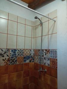 波特雷里约斯Camino & Piedra - Cabaña de Montaña的浴室的墙壁上设有瓷砖和淋浴。